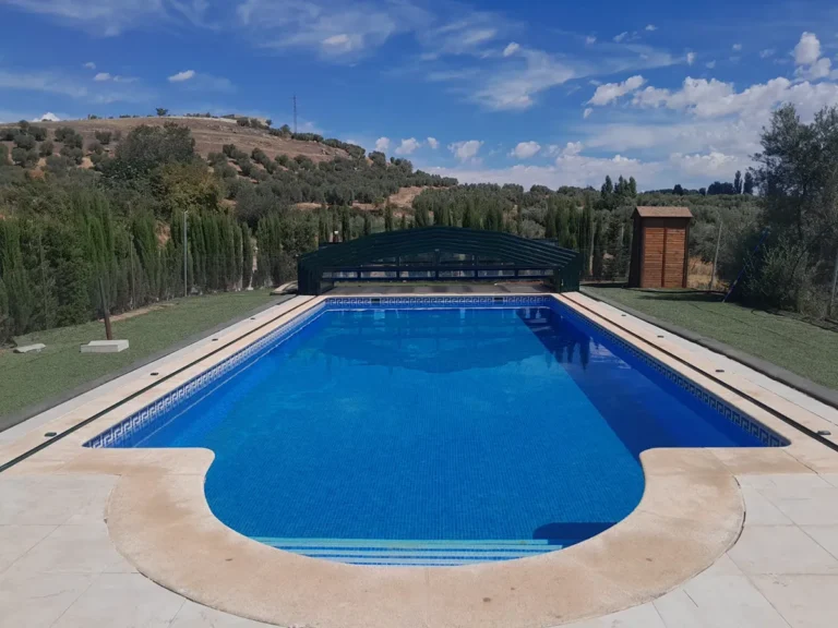 Construcción de piscina con formas curvas (4)